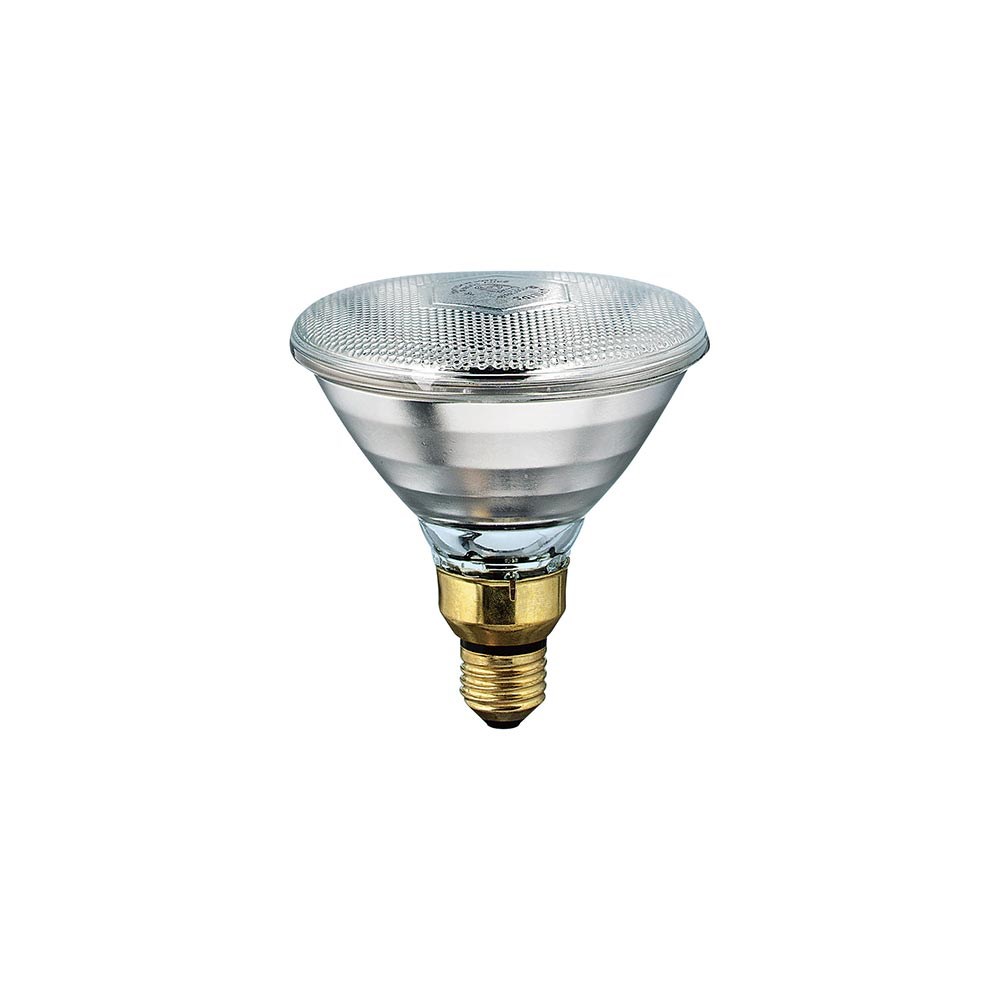 Philips PAR38 100W Şeffaf infrared lamba